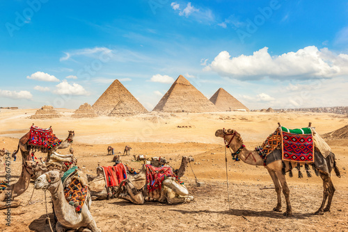 Camel family and pyramids