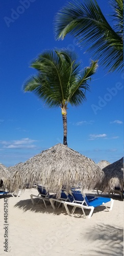 Straw umbrellas on the beach overlooking the ocean and blue sky. Punta Cana  Republica Dominicana. 
