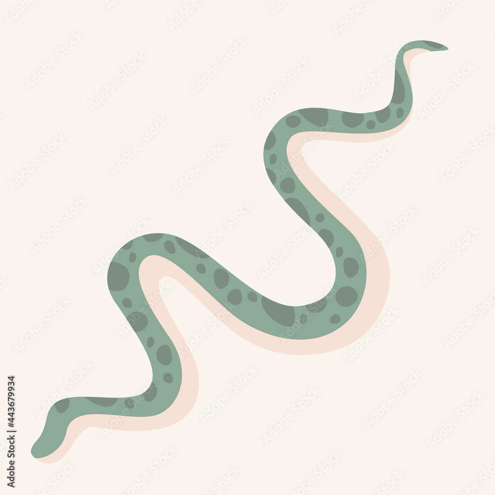 Fototapeta premium Isolated vector image of a spotted snake. Wild or tame reptile. Light background, flat illustration 