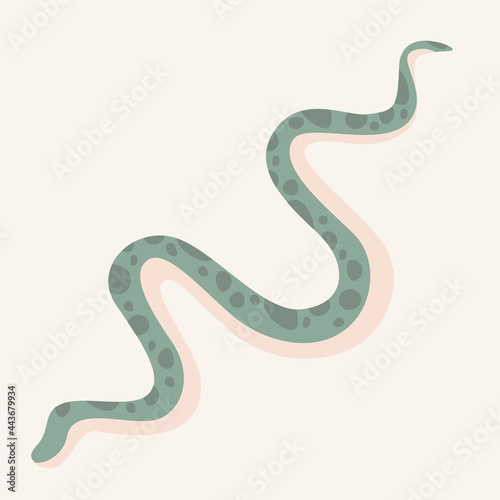 Isolated vector image of a spotted snake. Wild or tame reptile. Light background  flat illustration 