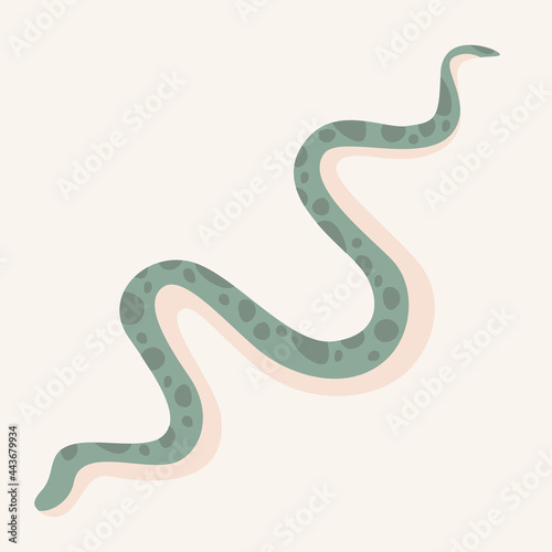 Isolated vector image of a spotted snake. Wild or tame reptile. Light background, flat illustration 