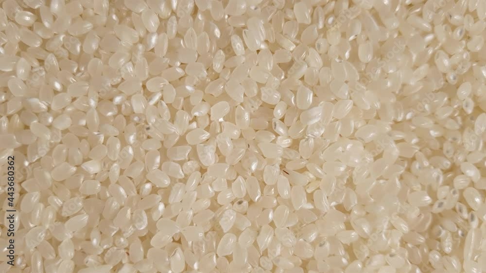 Asian white uncooked rice close up macro template that spin around. Fresh food nutrition healthy concept with copy space 4k Asian white uncooked rice close up macro template that spin around. Fresh food nutrition healthy concept with copy space 4k