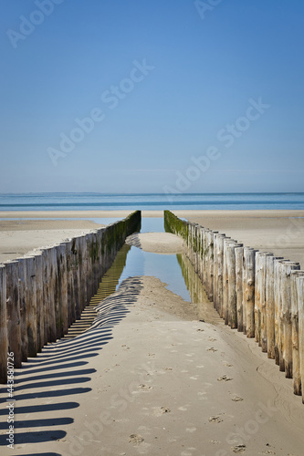 Vertical view on two rows of pile heads leading towards the North sea during ebb in summer. Breakwaters in Zeeland with copy space.