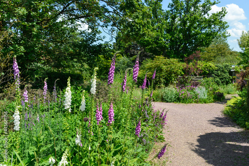 Le Jardin de Valériane, Buchy, 76, Normandie, Seine Maritime photo