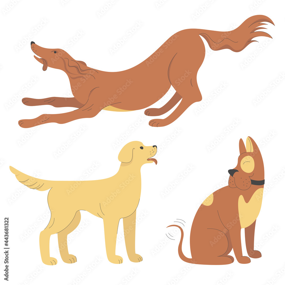Collection of three vector images of dogs of different breeds. Set of illustrations of pets. Light background, minimalistic flat illustration with lines. Collection of three vector images of dogs of different breeds. Set of illustrations of pets. Light background, minimalistic flat illustration with lines.