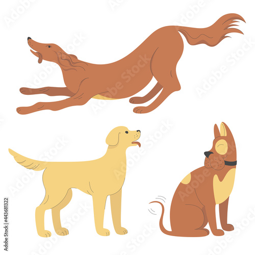 Collection of three vector images of dogs of different breeds. Set of illustrations of pets. Light background, minimalistic flat illustration with lines. 