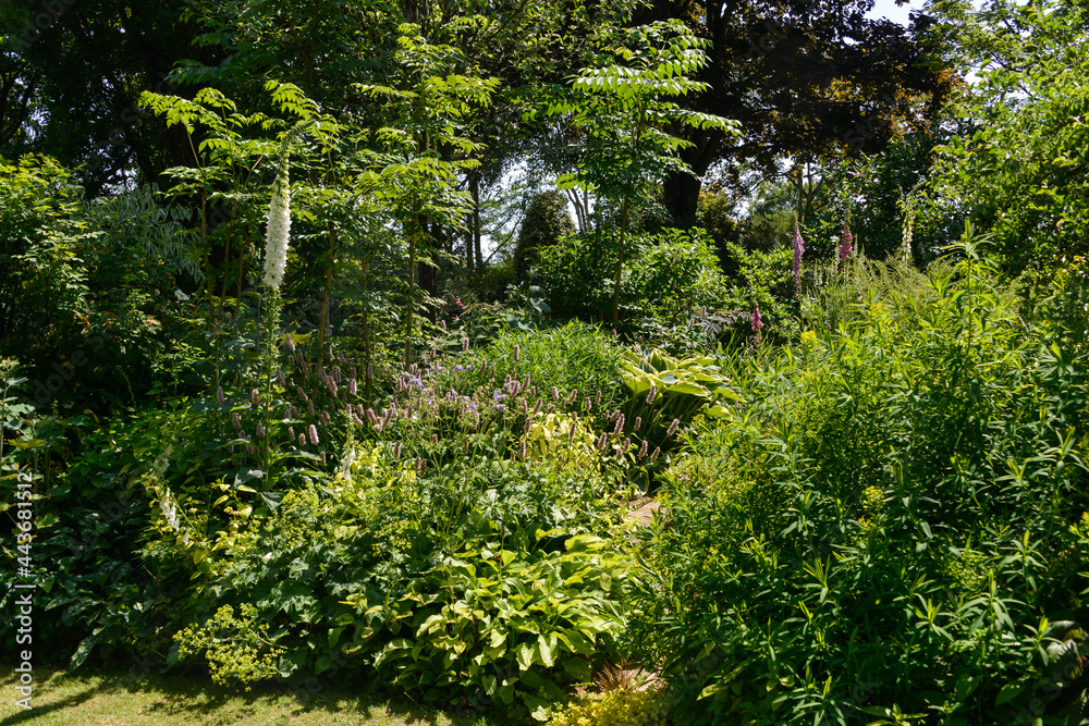 Le Jardin de Valériane, Buchy, 76, Normandie, Seine Maritime