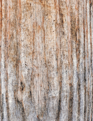 natural wood board closeup, brown pattern background