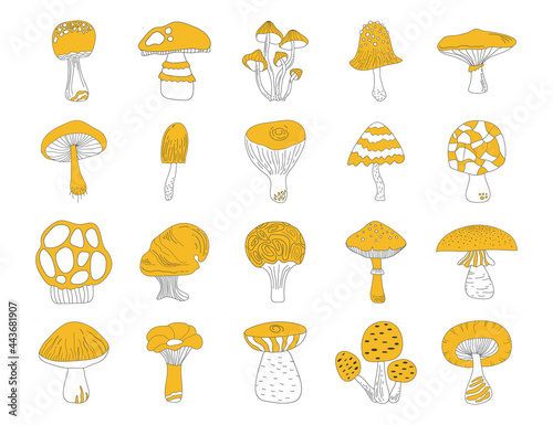 Wallpaper Mural Black and yellow mushrooms set on white background. Hand drawing food vector illustration. Autumn clipart. Torontodigital.ca