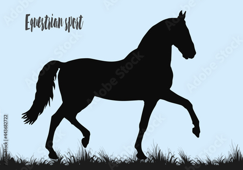  black silhouette of a thoroughbred horse prancing on the grass, isolated on a colored background 