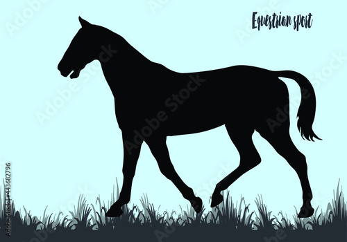 black silhouette of a thoroughbred horse walking calmly on the grass, isolated on a colored background