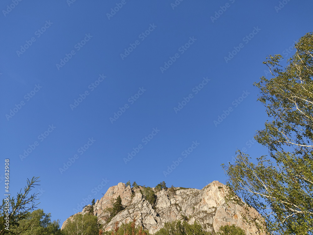 Big rock surrounded by trees under clear sky Big rock surrounded by trees under clear sky