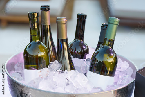 White wine bottles in bowl of ice