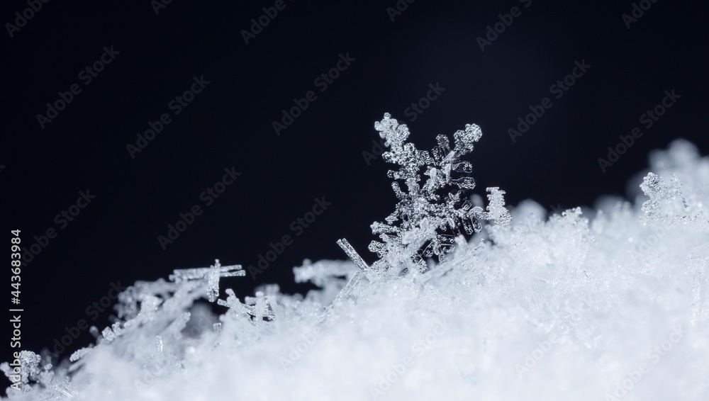 Snowflake in the snow, winter season
Snowflake in the snow, winter season