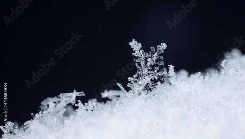 Snowflake in the snow, winter season 