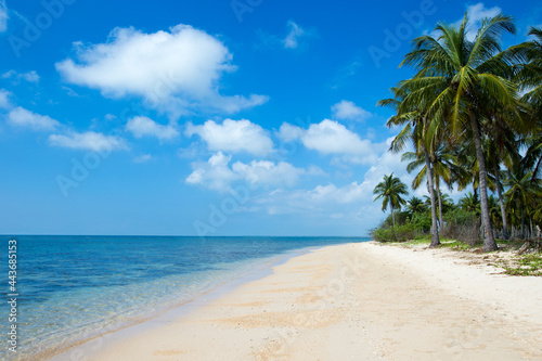 tropical beach in Sri Lanka . Summer holiday and vacation concept for tourism.