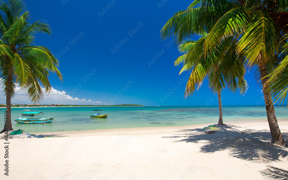 tropical beach in Sri Lanka . Summer holiday and vacation concept for tourism.