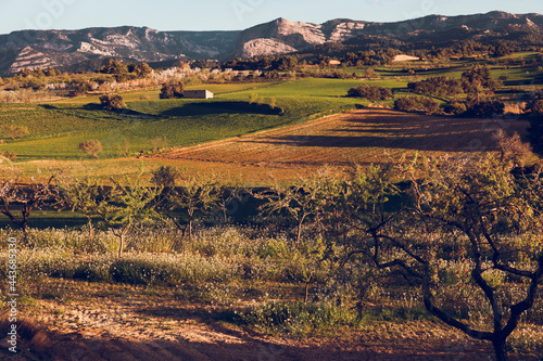 Matarranya  Teruel province. Spain