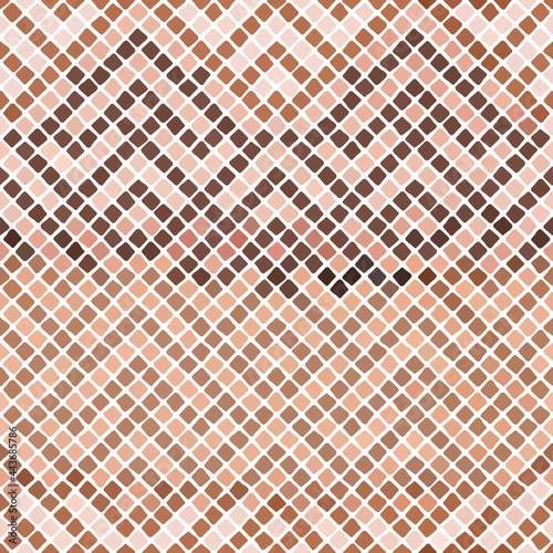 Pattern of vector mosaic in...