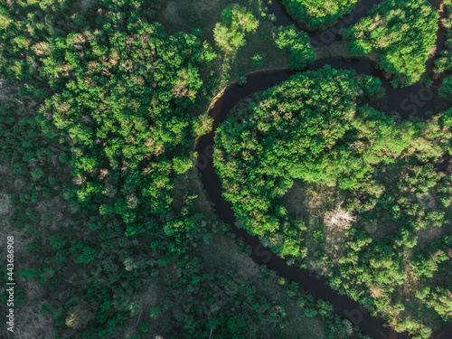 Wild river aerial drone shot