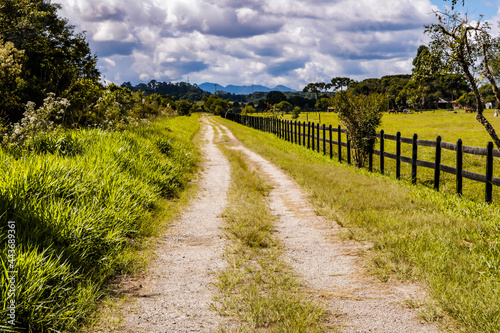 Bucolic image of the countryside, with a dirt road, blue sky between clouds, wooden fence on the right side and some horses in the background. 
