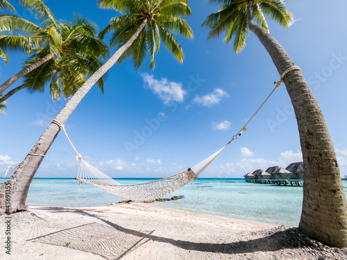 Fototapeta Naklejka Na Ścianę i Meble -  Summer vacation on a tropical beach with hammock