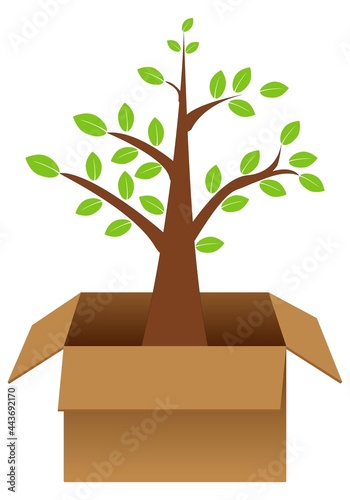 Árbol con hojas verdes que sale de una caja de cartón marrón. Reciclar para cuidar el bosque