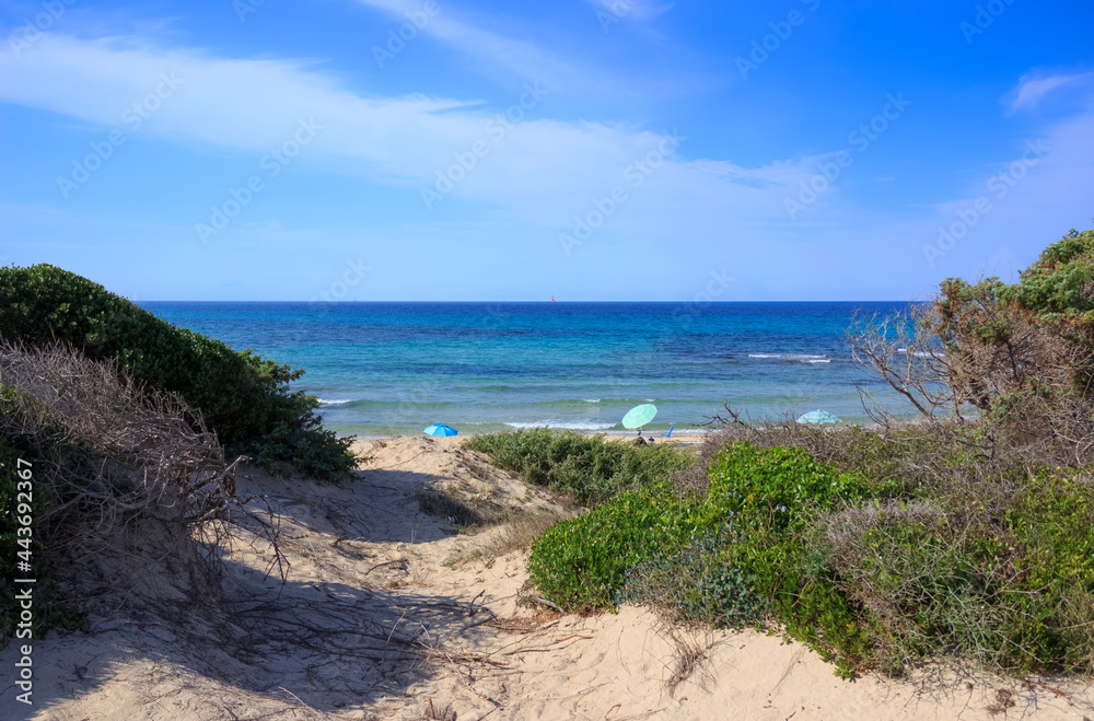 Apulia beach: Torre Guaceto Nature Reserve in Italy. View of the coast and the dunes with Mediterranean maquis: a nature sanctuary between the land and the sea.