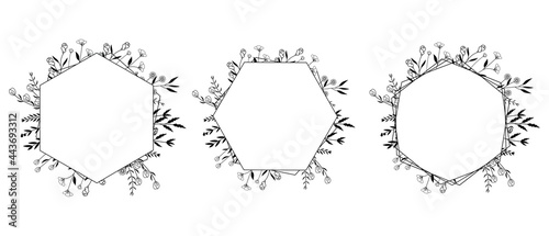 Floral Wreath frame vector, illustration, Botanical