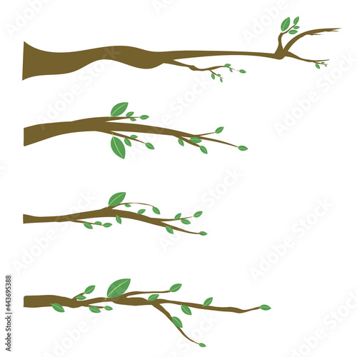 Set long branches with young leaves , isolated on white background , Illustration Vector EPS 10