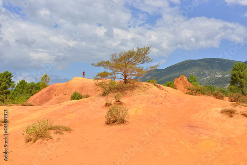 Solitaire sur les roches rouges du Colorado provençal de Rustrel (84400), département du Vaucluse en région Provence-Alpes-Côte-d'Azur, France © didier salou