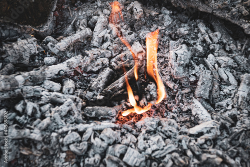 Orange flames of burning charcoals outdoors, hot coals remnants on the ground, process of burning wood in nature