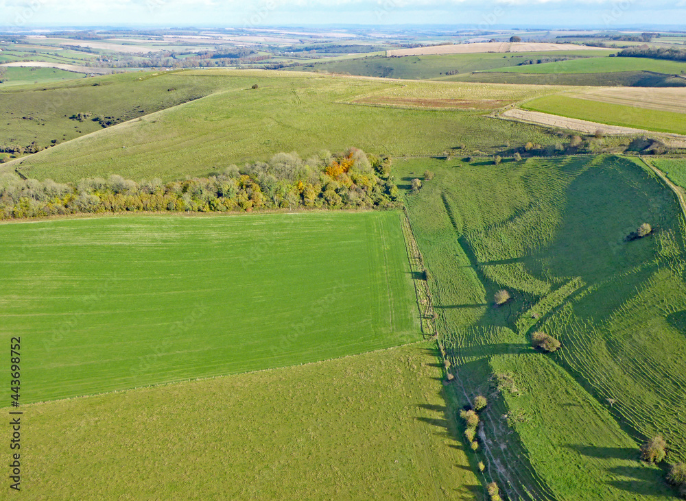 Fields at Monks Down in Wiltshire	