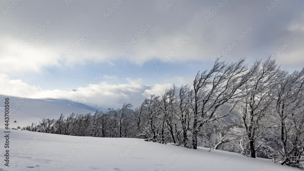 Fluffy clouds shelter under white snow sheltered by forests and beautiful mountains Fluffy clouds shelter under white snow sheltered by forests and beautiful mountains