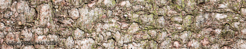 Stone background