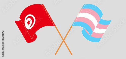 Crossed and waving flags of Tunisia and Transgender Pride