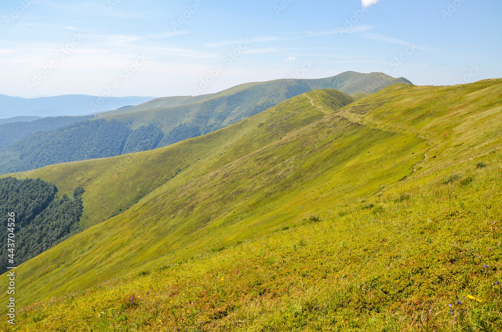 Hiking pathway along the grassy slopes of Borzhava ridge. The hilly landscape is perfect for hiking. Carpathian mountains, Ukraine Hiking pathway along the grassy slopes of Borzhava ridge. The hilly landscape is perfect for hiking. Carpathian mountains, Ukraine