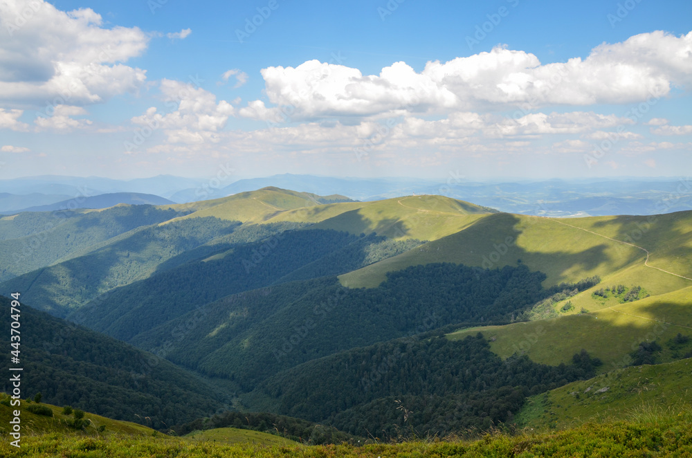 Beautiful summer nature landscape with trees on green rolling hillsides. Carpathian Mountains, Ukraine