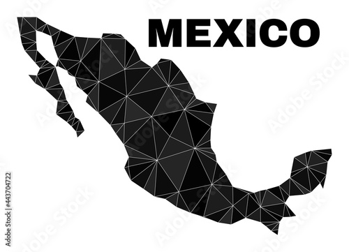 Low-poly Mexico map. Polygonal Mexico map vector is combined of scattered triangles. Triangulated Mexico map polygonal abstraction for education illustrations.
