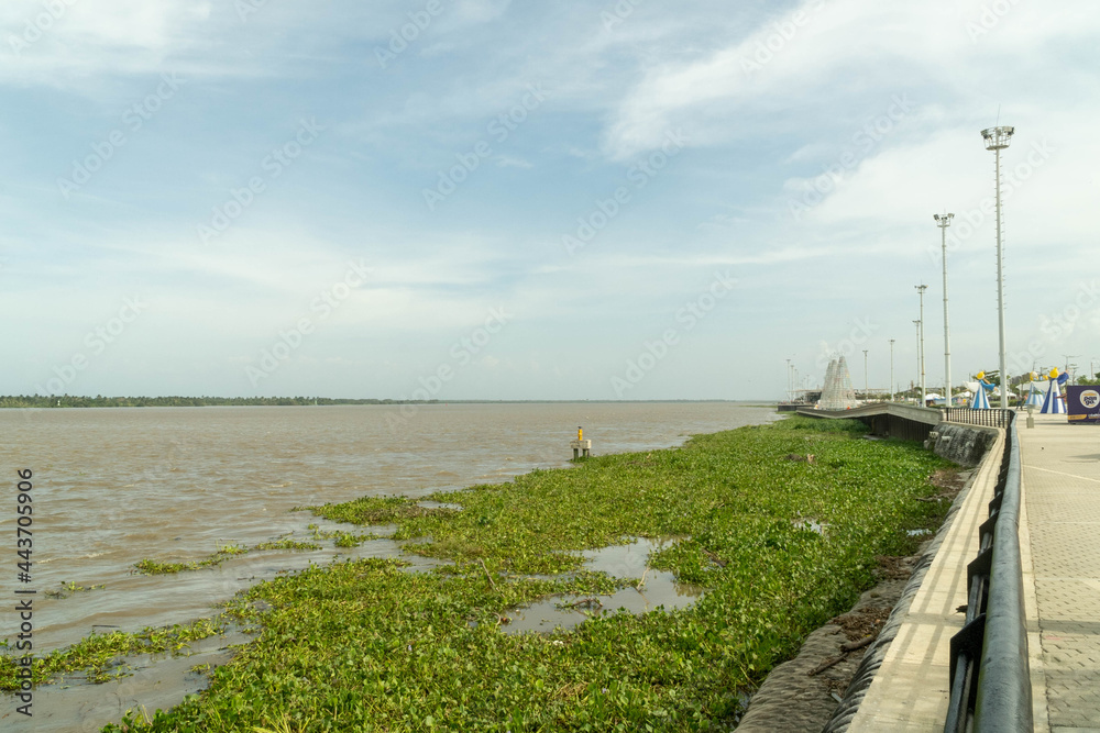  Natural landscape seen from the bank of the Magdalena river. Barranquilla, Colombia.