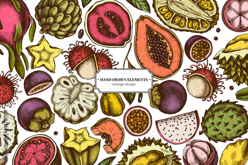 Colored elements design with papaya, guava, passion fruit, starfruit, durian, rambutan, pitaya, jackfruit, sugar-apple, soursop, mangosteen