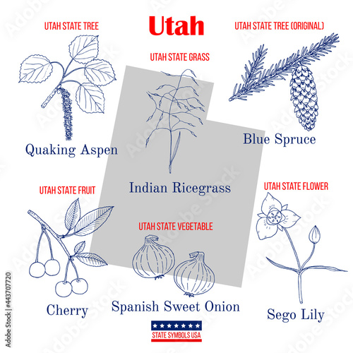 Utah. Set of USA official state symbols