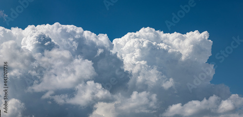  Beautiful cumulus clouds against the blue sky.. Panoramic shot of a cloud cluster. Wide format.