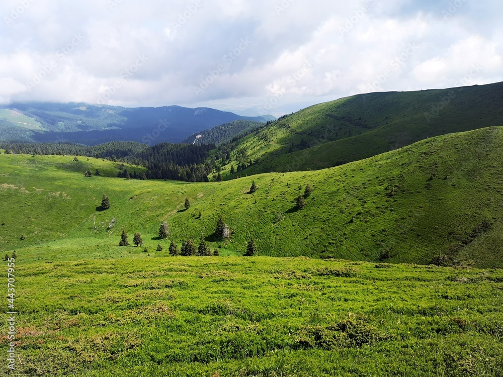 Fototapeta premium Summer landscape in the mountains. Beautiful day for hiking