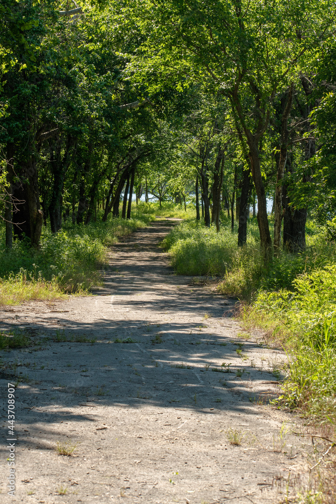 Lake Trail