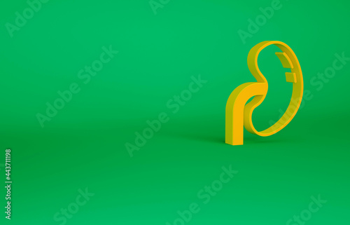 Orange Human kidney icon isolated on green background. Minimalism concept. 3d illustration 3D render