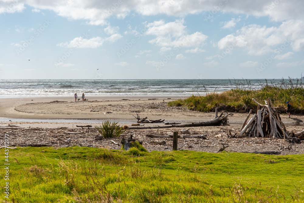 Beautiful coast at Queen Elisabeth Park, New Zealand