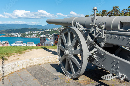Old cannon with view to Wellington, Botanic garden hill