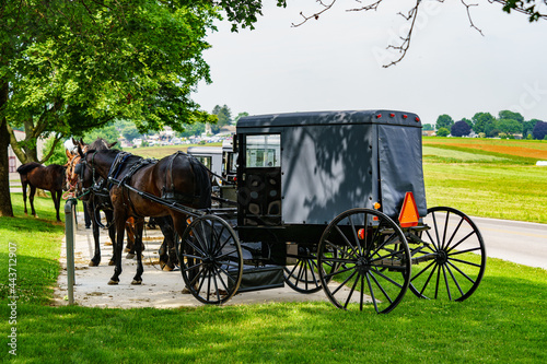 Amish Horses and Buggies