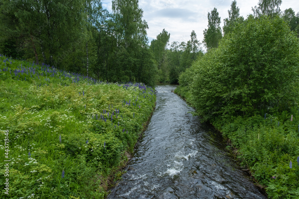 Fast water in a narrow channel against a background of white and purple flowers and green trees.